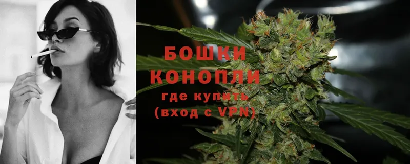 наркотики  Новопавловск  Бошки марихуана SATIVA & INDICA 